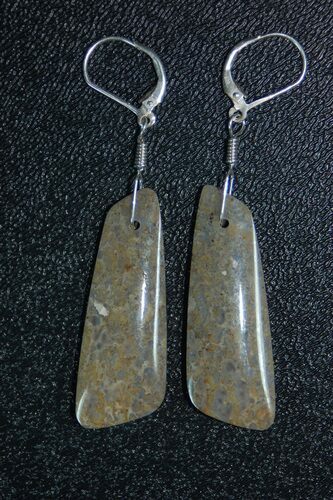 Green Agatized Dinosaur Bone Earrings #4906